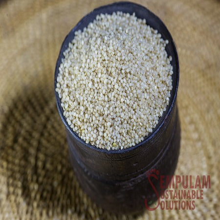 Little Millet -சாமை (500gm)